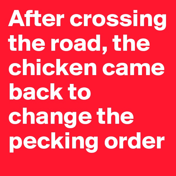 After crossing the road, the chicken came back to change the pecking order