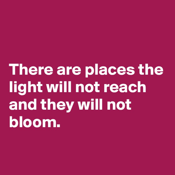 


There are places the light will not reach and they will not bloom.

