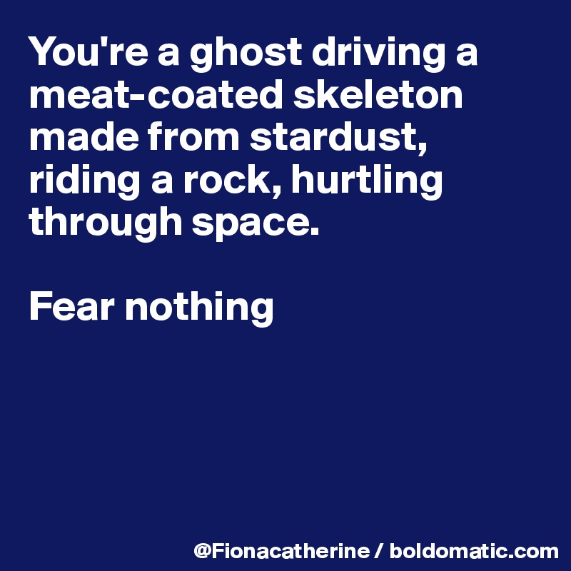 You're a ghost driving a
meat-coated skeleton
made from stardust,
riding a rock, hurtling
through space.

Fear nothing




