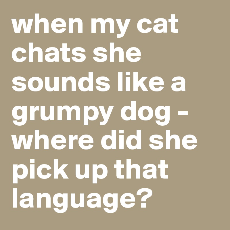 when my cat chats she sounds like a grumpy dog - where did she pick up that language?