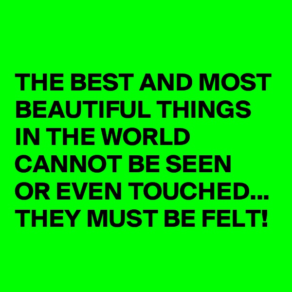

THE BEST AND MOST BEAUTIFUL THINGS IN THE WORLD CANNOT BE SEEN OR EVEN TOUCHED... THEY MUST BE FELT! 
