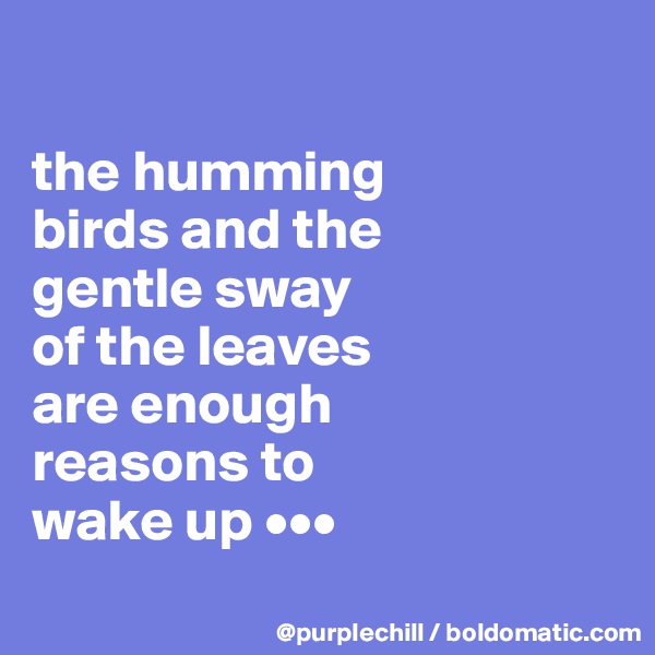 

the humming 
birds and the 
gentle sway 
of the leaves 
are enough 
reasons to 
wake up •••
