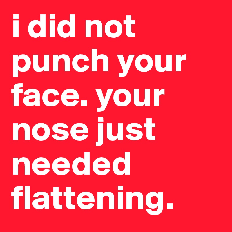 i did not punch your face. your nose just needed flattening.