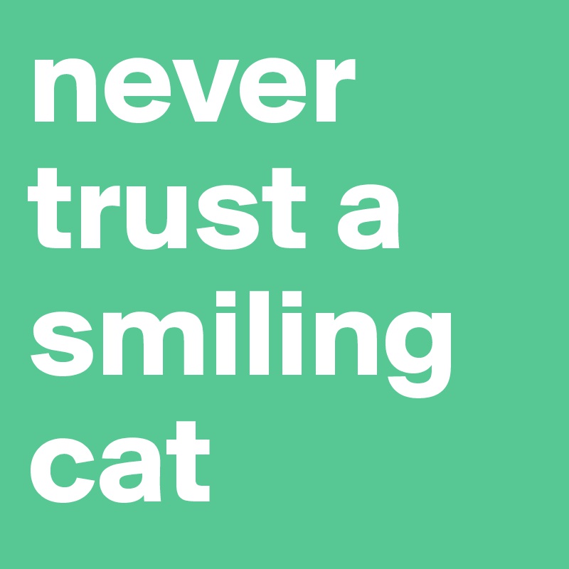 never trust a smiling cat