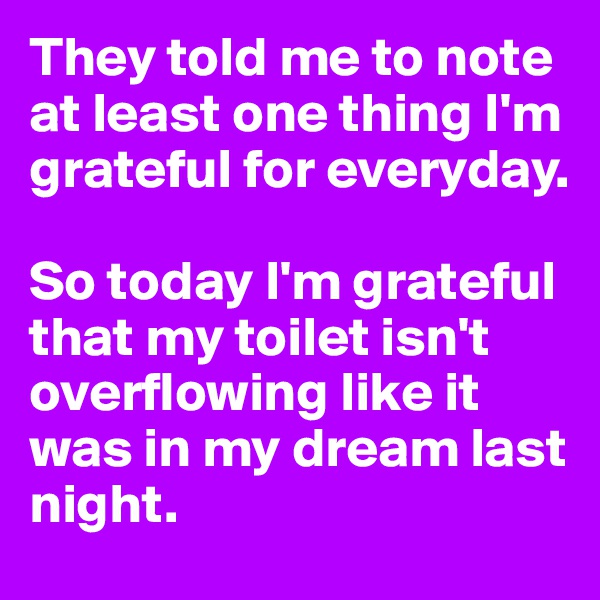 They told me to note at least one thing I'm grateful for everyday.

So today I'm grateful that my toilet isn't overflowing like it was in my dream last night.