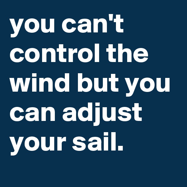 you can't control the wind but you can adjust your sail.