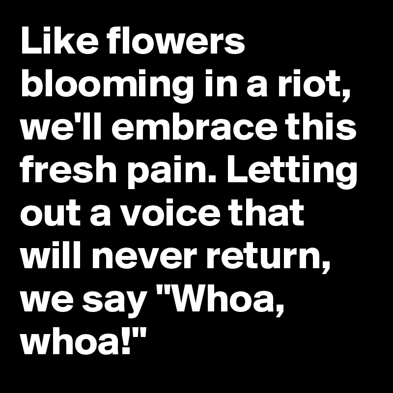 Like flowers blooming in a riot, we'll embrace this fresh pain. Letting out a voice that will never return, we say "Whoa, whoa!"