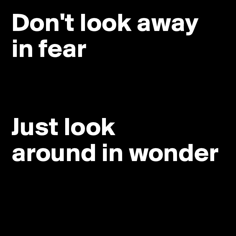 Don't look away in fear


Just look 
around in wonder 

