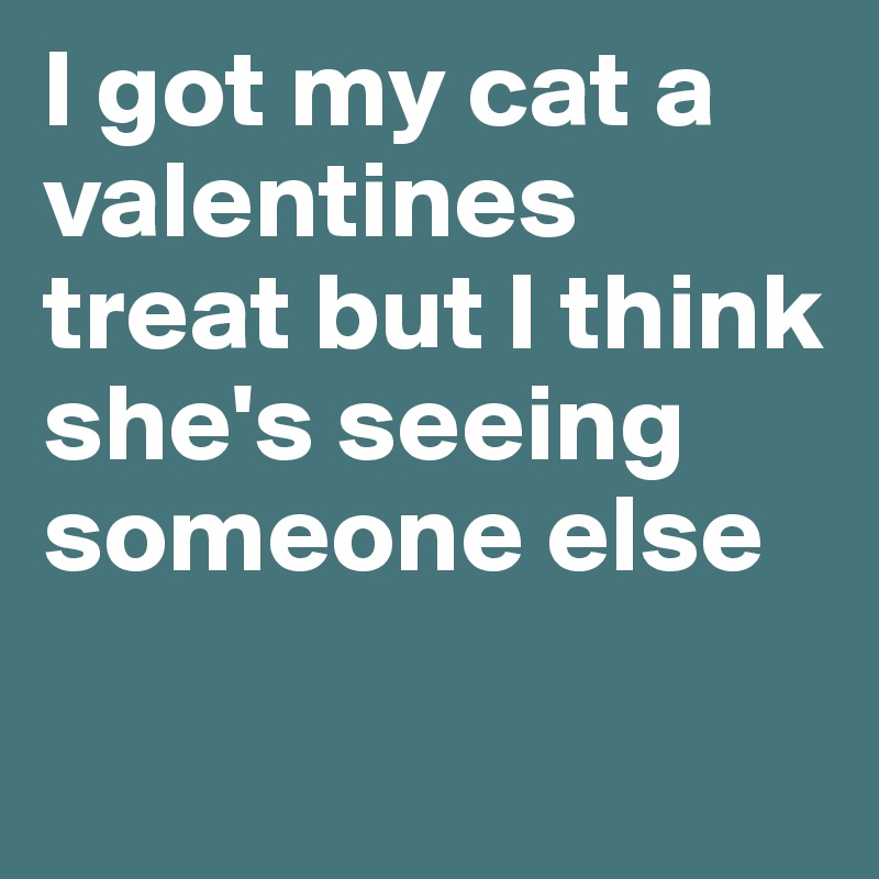 I got my cat a valentines treat but I think she's seeing someone else

