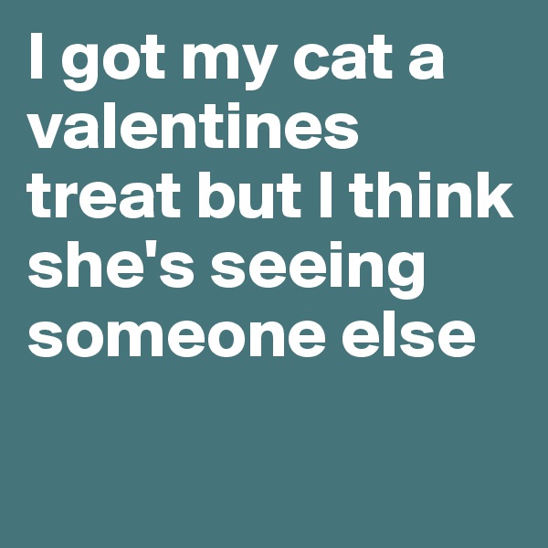 I got my cat a valentines treat but I think she's seeing someone else

