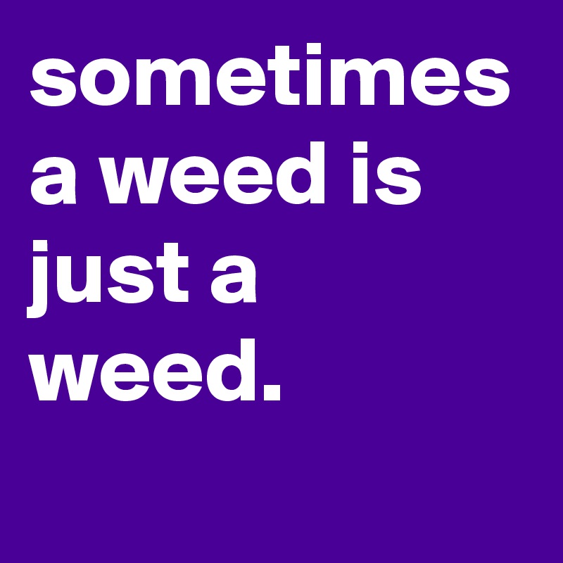 sometimes a weed is just a weed.