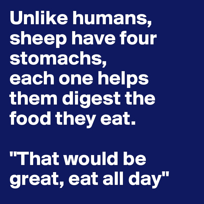 Unlike humans, sheep have four stomachs, 
each one helps them digest the food they eat.

"That would be great, eat all day"
