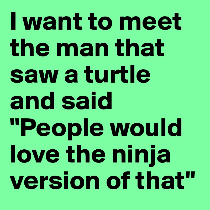 I want to meet the man that saw a turtle and said "People would love the ninja version of that" 