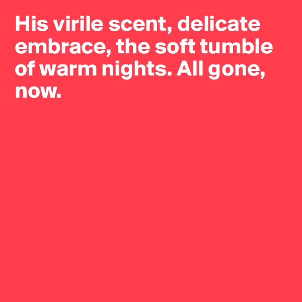 His virile scent, delicate embrace, the soft tumble of warm nights. All gone, now.







