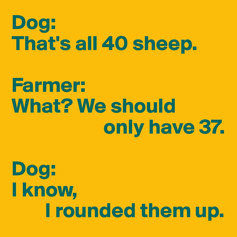 Dog:
That's all 40 sheep.

Farmer:
What? We should
                      only have 37.

Dog:
I know, 
        I rounded them up.