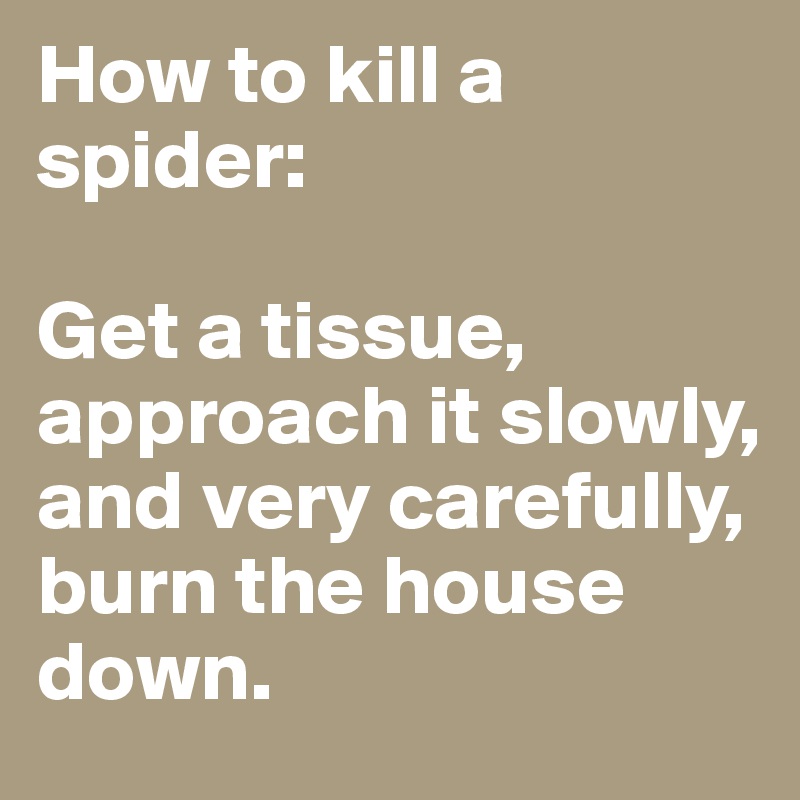 How to kill a spider:

Get a tissue, 
approach it slowly,  
and very carefully, 
burn the house down.