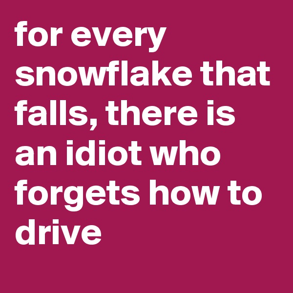 for every snowflake that falls, there is an idiot who forgets how to drive