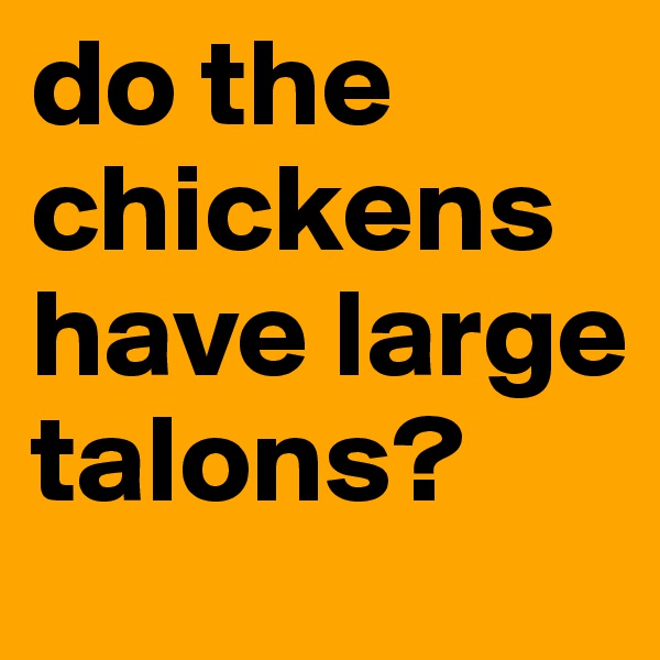 do the chickens have large talons?