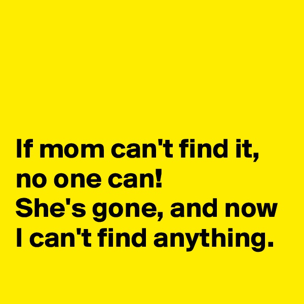 



If mom can't find it, no one can! 
She's gone, and now I can't find anything.