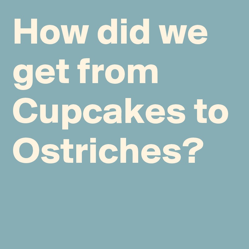 How did we get from Cupcakes to Ostriches?
