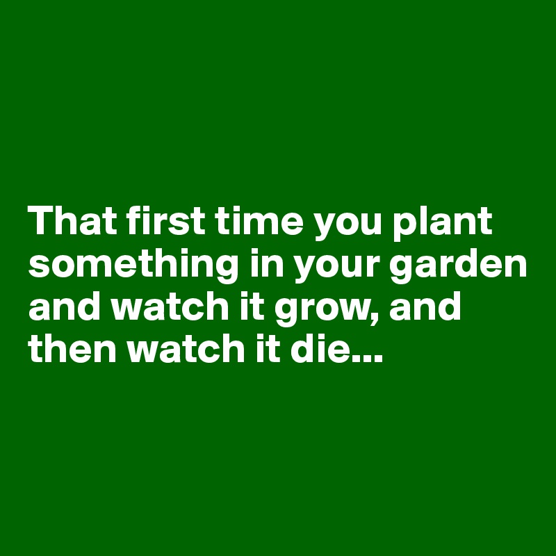 



That first time you plant something in your garden and watch it grow, and then watch it die...


