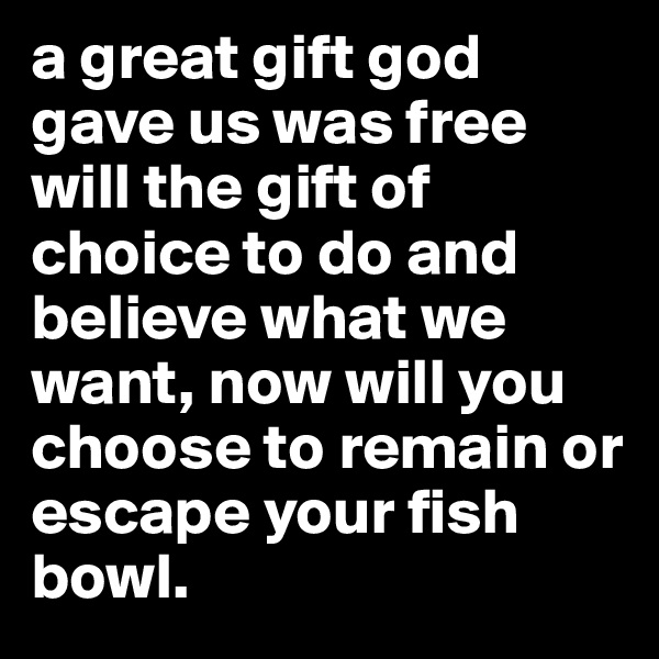 a great gift god gave us was free will the gift of choice to do and believe what we want, now will you choose to remain or escape your fish bowl.