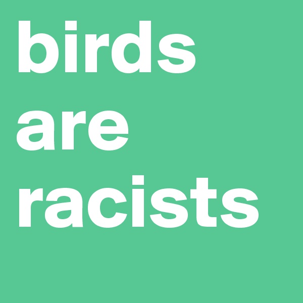 birds are racists