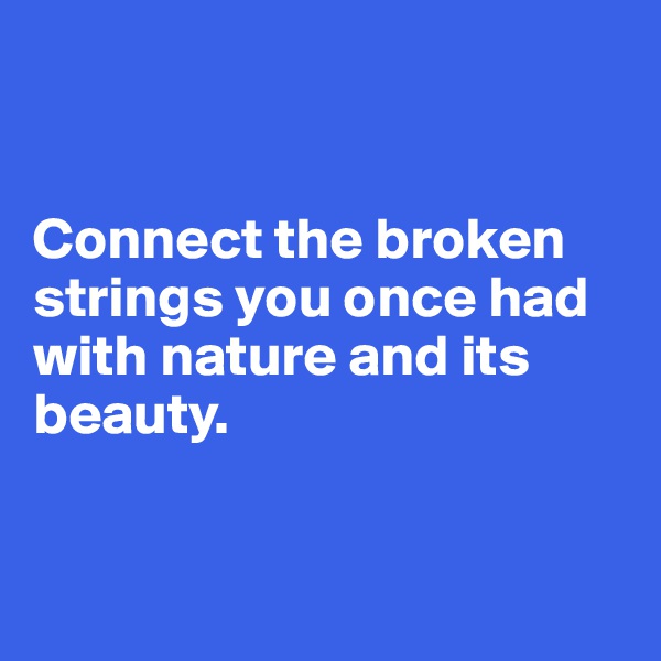


Connect the broken strings you once had with nature and its beauty.


