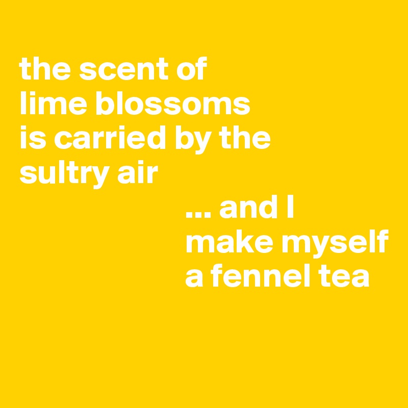 
the scent of 
lime blossoms 
is carried by the 
sultry air
                        ... and I 
                        make myself 
                        a fennel tea


