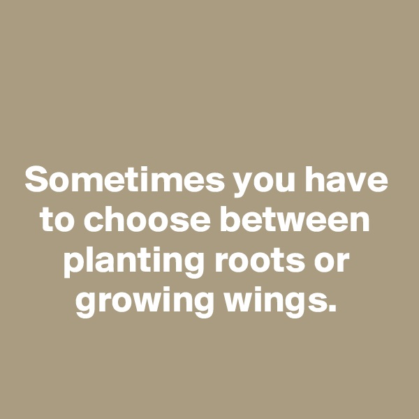 


Sometimes you have to choose between planting roots or growing wings.

