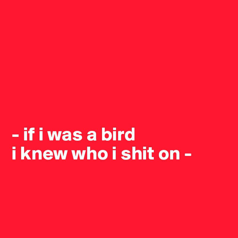 





- if i was a bird
i knew who i shit on -


