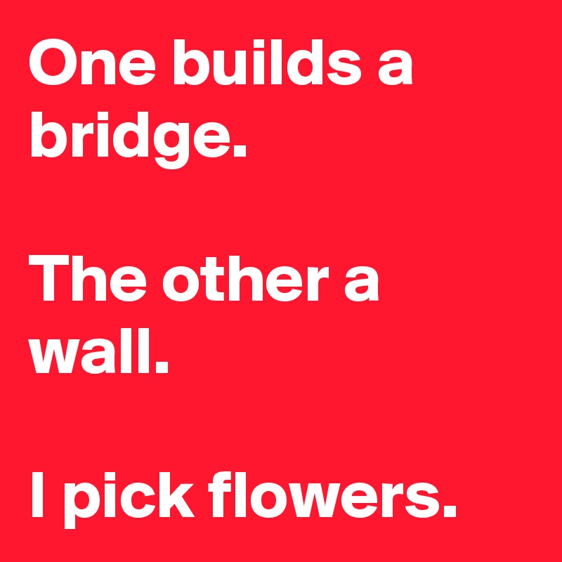 One builds a bridge.

The other a wall.

I pick flowers.
