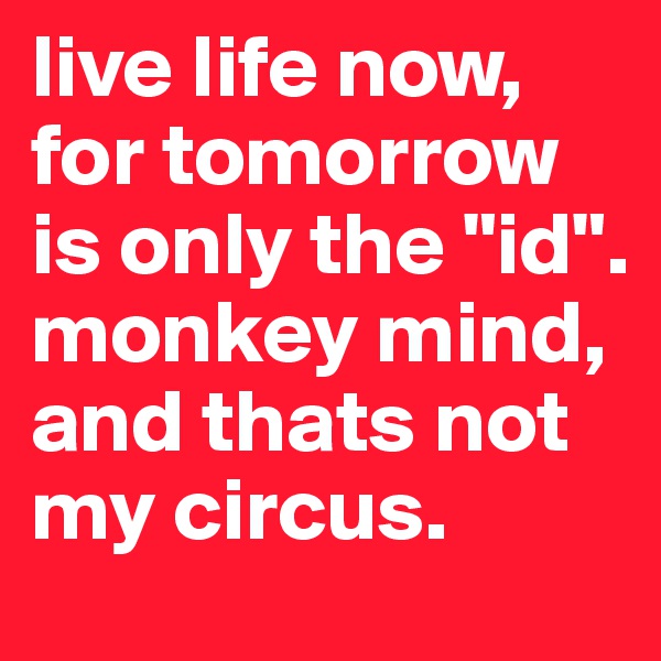 live life now, for tomorrow is only the "id". monkey mind, and thats not my circus.