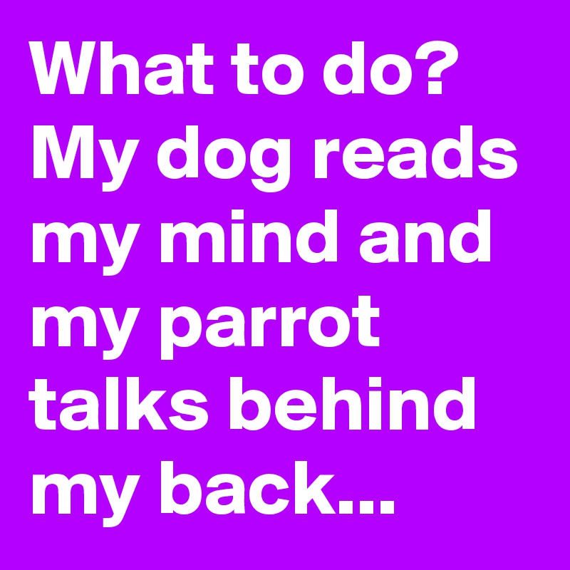 What to do? My dog reads my mind and my parrot talks behind my back...