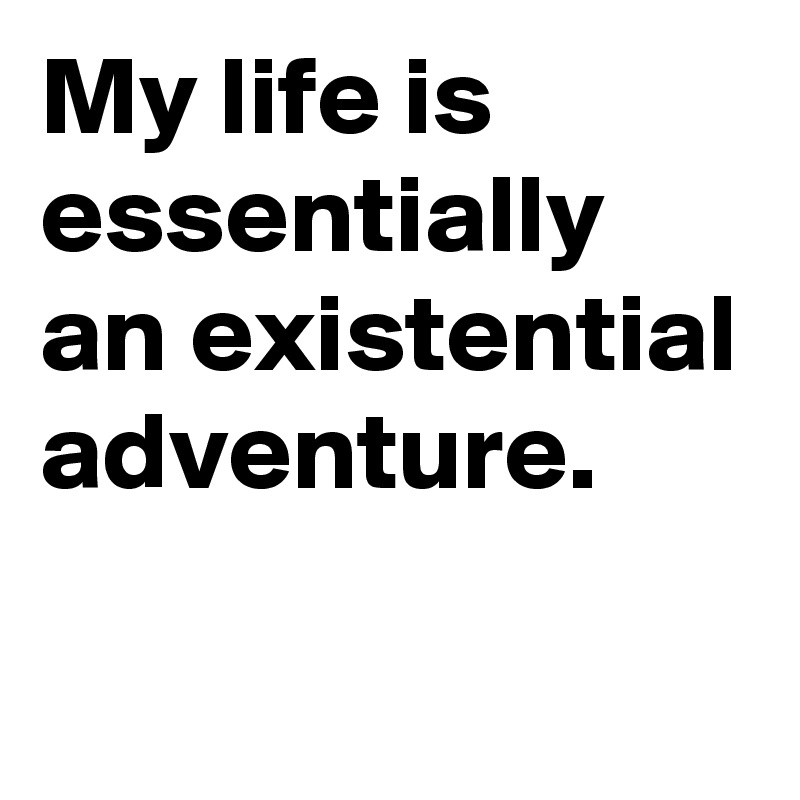 My life is essentially an existential adventure.
