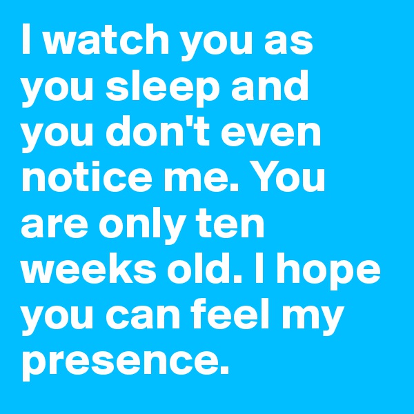 I watch you as you sleep and you don't even notice me. You are only ten weeks old. I hope you can feel my presence. 