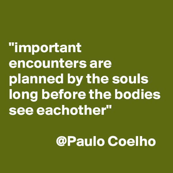 

"important encounters are planned by the souls long before the bodies see eachother"                                                                                     @Paulo Coelho