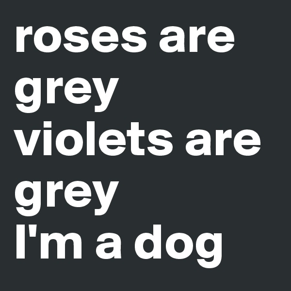 roses are grey
violets are grey
I'm a dog