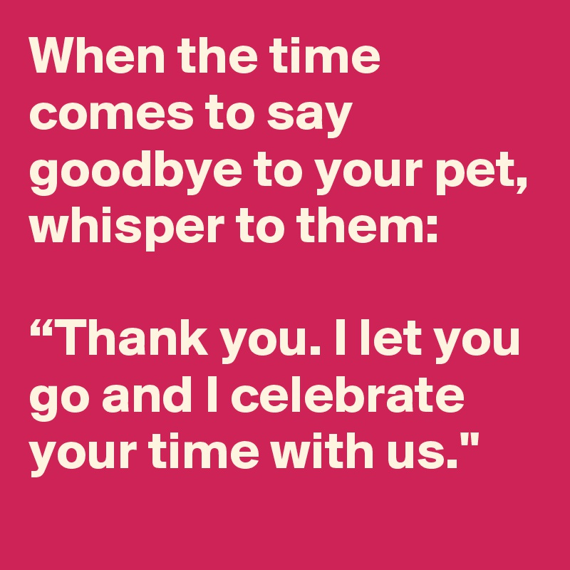 When the time comes to say goodbye to your pet, whisper to them:

“Thank you. I let you go and I celebrate your time with us."