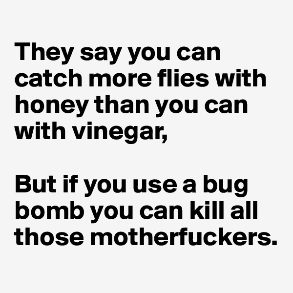 
They say you can catch more flies with honey than you can with vinegar, 

But if you use a bug bomb you can kill all those motherfuckers.