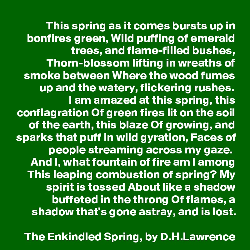 This spring as it comes bursts up in bonfires green, Wild puffing of emerald trees, and flame-filled bushes, Thorn-blossom lifting in wreaths of smoke between Where the wood fumes up and the watery, flickering rushes. 
I am amazed at this spring, this conflagration Of green fires lit on the soil of the earth, this blaze Of growing, and sparks that puff in wild gyration, Faces of people streaming across my gaze. 
And I, what fountain of fire am I among This leaping combustion of spring? My spirit is tossed About like a shadow buffeted in the throng Of flames, a shadow that's gone astray, and is lost.

The Enkindled Spring, by D.H.Lawrence