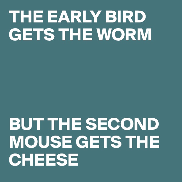 THE EARLY BIRD GETS THE WORM




BUT THE SECOND MOUSE GETS THE CHEESE