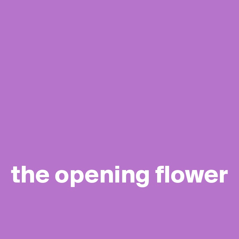 





the opening flower
