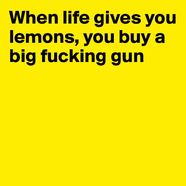 When life gives you lemons, you buy a big fucking gun




