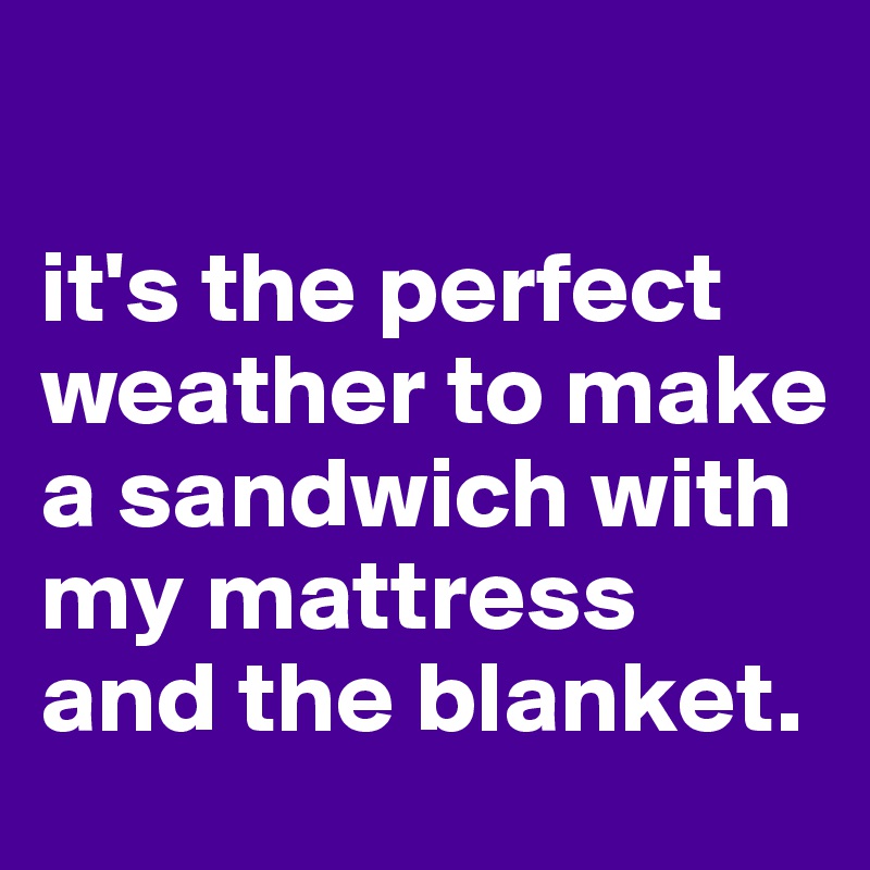 

it's the perfect weather to make a sandwich with my mattress and the blanket.
