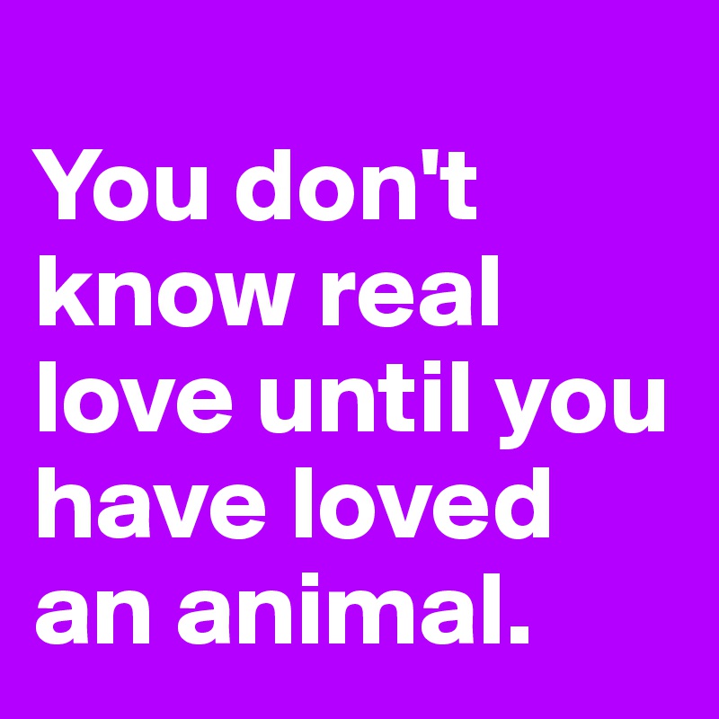 
You don't know real love until you have loved an animal.