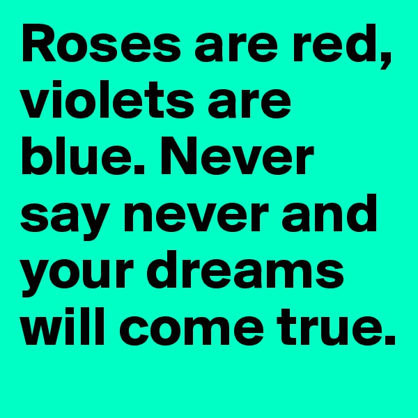 Roses are red, violets are blue. Never say never and your dreams will come true.