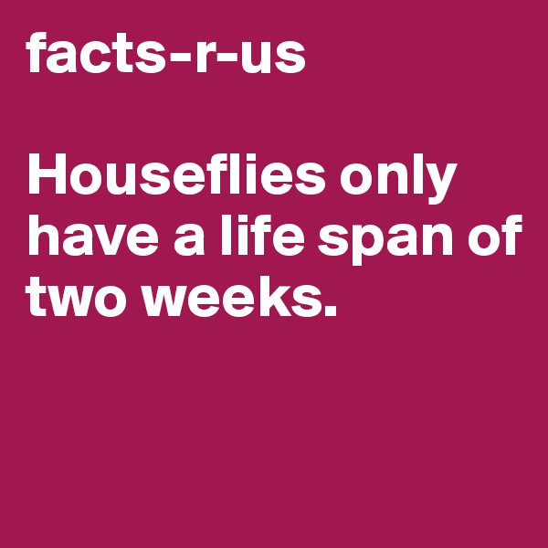 facts-r-us

Houseflies only have a life span of two weeks.



