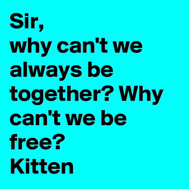 Sir,
why can't we always be together? Why can't we be free?
Kitten