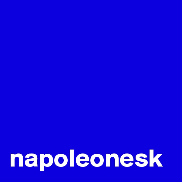 


 
          napoleonesk